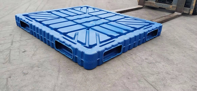 1513˫�洵���Ĳ�